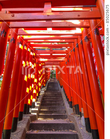 Senbon Torii at Sanno Hie Shrine in Akasaka, Tokyo 85025675
