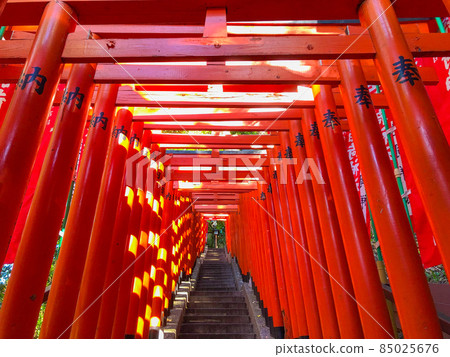 東京赤坂山王日枝神社的千本鳥居 東京赤坂山王日枝神社的千本鳥居 85025676