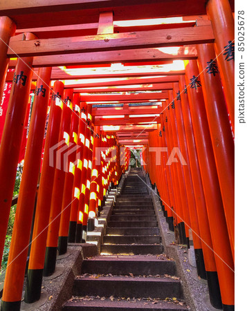 東京赤坂山王日枝神社的千本鳥居 東京赤坂山王日枝神社的千本鳥居 85025678