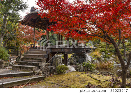 Kyoto Late Autumn Wataruen Garden Kaitoro 85025947