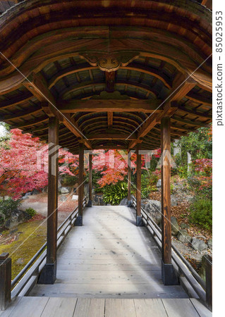 Kyoto Late Autumn Wataruen Garden Kaitoro Kyoto Late Autumn Wataruen Garden Kaitoro 85025953