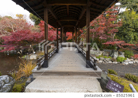 京都深秋渡園·海托羅 京都深秋渡園·海托羅 85025961