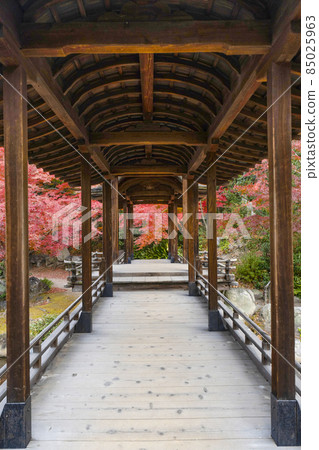 京都深秋渡園·海托羅 京都深秋渡園·海托羅 85025963