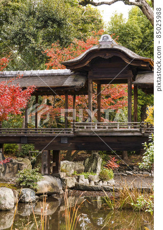 Kyoto Late Autumn Wataruen Garden Kaitoro 85025988