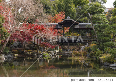 京都深秋渡園·海托羅 京都深秋渡園·海托羅 85026244
