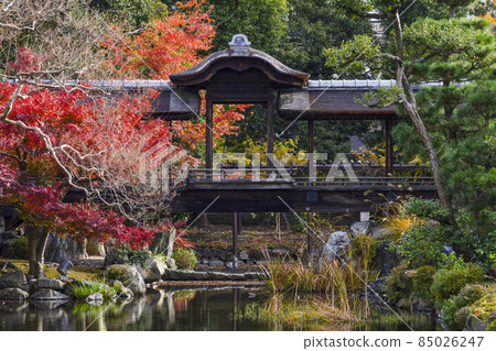 Kyoto Late Autumn Wataruen Garden Kaitoro 85026247