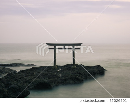 Torii standing on a rock 85026301