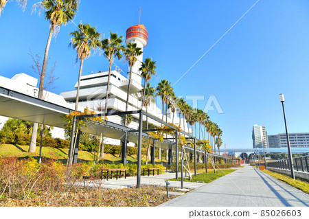 Higashiyashio Ryokudo Park (Shinagawa-ku, Tokyo) [2021.12] 85026603