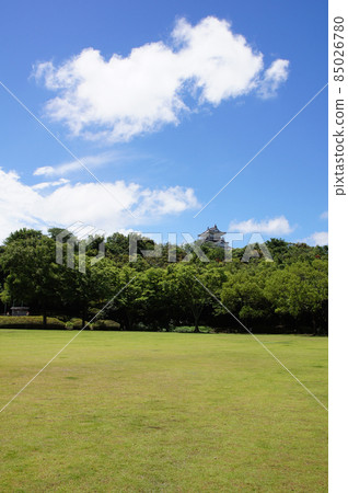 夏天的濱松城 夏天的濱松城 85026780