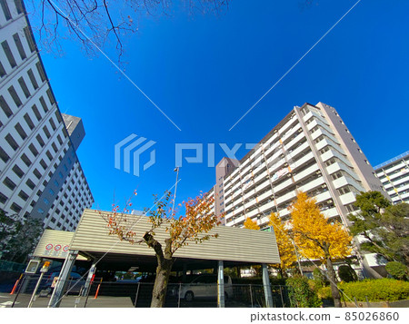 東京板橋 / 高島平住宅小區 85026860