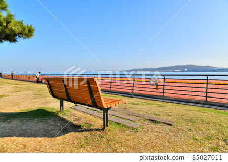 View toward the reclaimed land inside the Central Breakwater from Akatsuki Terminal Park (Koto-ku, Tokyo) [2021.12] 85027011