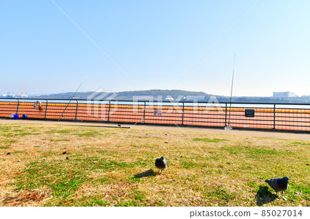 從Akatsuki Terminal Park（東京都江東區）看中央防波堤內的填海地 [2021.12] 85027014