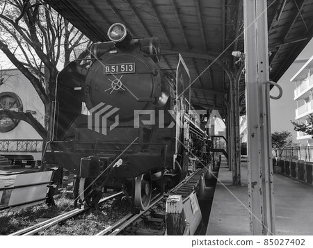 SL / D51 of Tokyo Itabashi / Johoku Kotsu Park 85027402