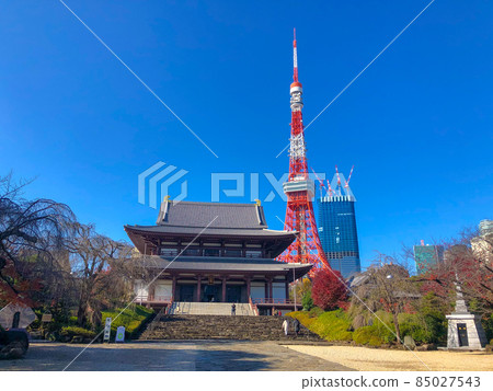 Tokyo Shiba Zojoji Temple and Tokyo Tower 85027543