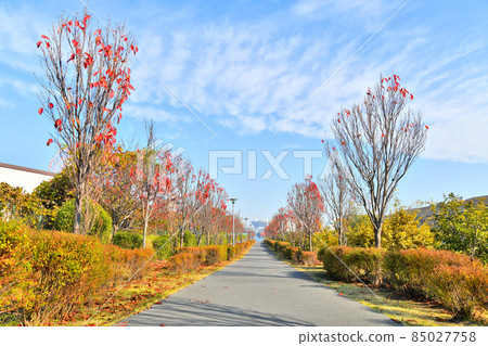 水上廣場公園/西區（東京都江東區） [2021.12] 85027758