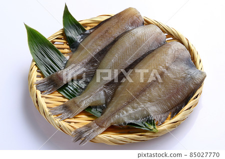 Flatfish colander Flatfish colander 85027770