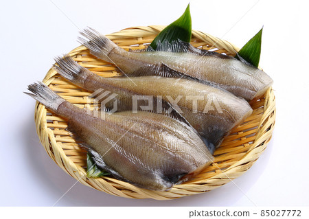 Flatfish colander Flatfish colander 85027772