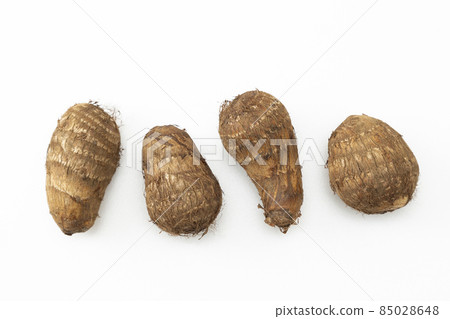 Turtle white back 85028648