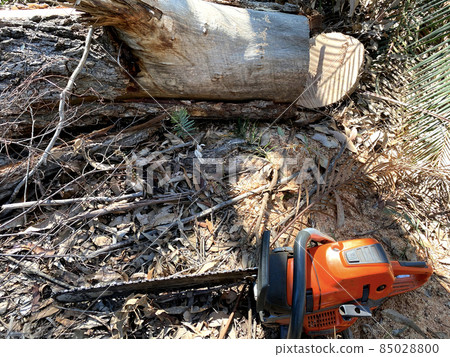 A Chainsaw Next to a Log A Chainsaw Next to a Log 85028800