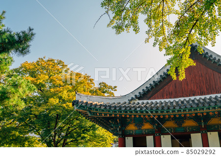 Korean traditional architecture of Gyeongsang-gamyeong park in Daegu, Korea 85029292