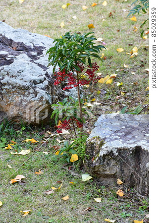 Usuki Castle Town Samurai Residence Inaba Residence Usuki Castle Town Samurai Residence Inaba Residence 85029359