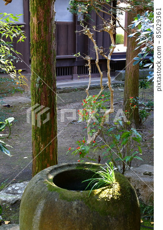 臼杵城下武士住宅 稻葉住宅 臼杵城下武士住宅 稻葉住宅 85029361