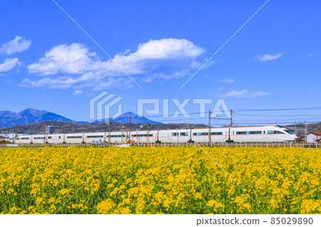 Rapeseed field and Odakyu Romance car VSE Rapeseed field and Odakyu Romance car VSE 85029890