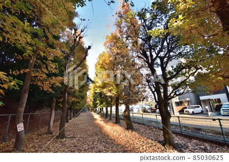 高松綠地(靜岡市駿河區)211214 pm 3:36 高松綠地(靜岡市駿河區)211214 pm 3:36 85030625