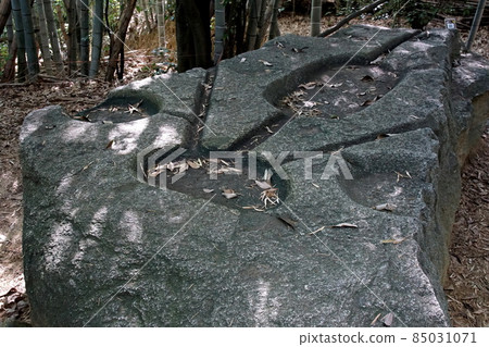 Liquor harbor Asuka village 85031071