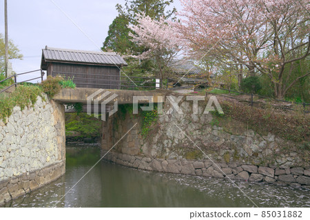 [World Heritage Irrigation Facility Heritage] Kurayasugawa / Hyakukengawa Irrigation Heritage Group Kurayasugawa Yoshii Water Gate and Yoshino Cherry, Higashi-ku, Okayama City, Okayama Prefecture 85031882