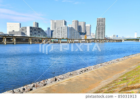 從京濱運河綠堂公園（東京都品川區）眺望品川海濱 [2021.12] 85031913