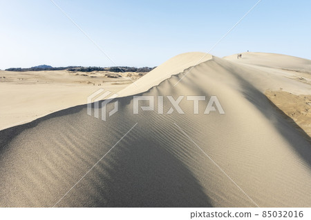 Fumon made of sandstorm (Tottori Sand Dunes) Fumon made of sandstorm (Tottori Sand Dunes) 85032016
