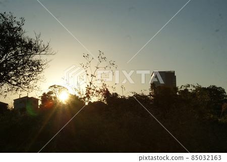 Winter morning sun 85032163