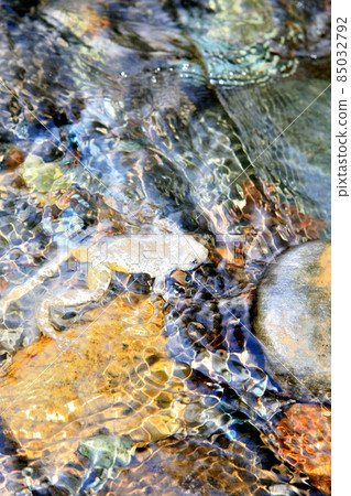 The sculpin was on the rock 85032792