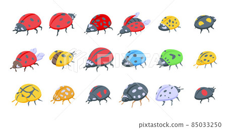 Insect ladybird icons set isometric vector. Child fly 85033250