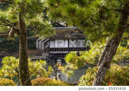 京都深秋侗園Sochinkyo 京都深秋侗園Sochinkyo 85033430