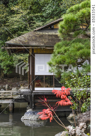京都深秋侗園Sochinkyo 京都深秋侗園Sochinkyo 85033541