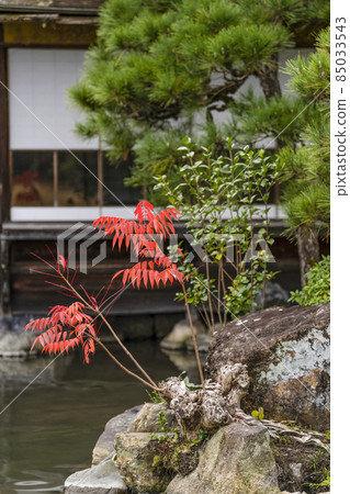 京都深秋侗園 Sochinkyo 和 Haze no Ki 京都深秋侗園 Sochinkyo 和 Haze no Ki 85033543