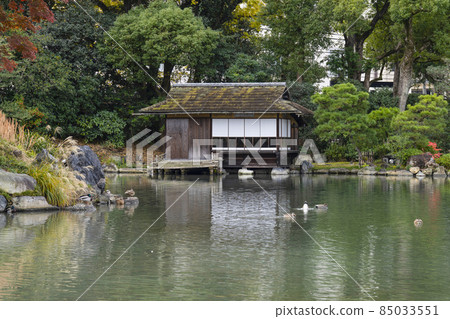 Kyoto Late Autumn Wataruen Sochinkyo Kyoto Late Autumn Wataruen Sochinkyo 85033551