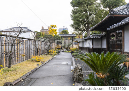 京都深秋渡園 85033600
