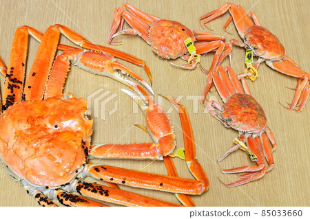 Echizen crab Seiko crab Echizen crab Seiko crab 85033660