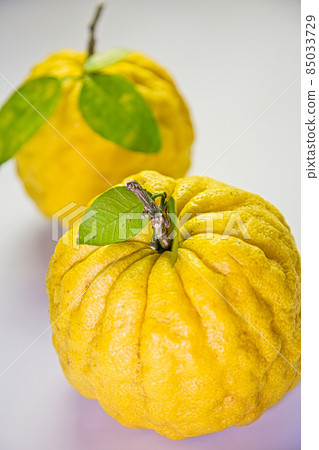 Table photo Yuzu 85033729