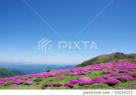 從三山霧島的扇形鼻子眺望大成縣的法政山和由布 85034255