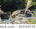 秋天的長瀞岩石路面 85034538