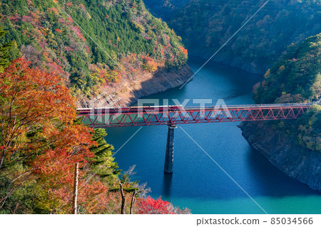 靜岡縣灰原郡川本町奧江湖城站 85034566
