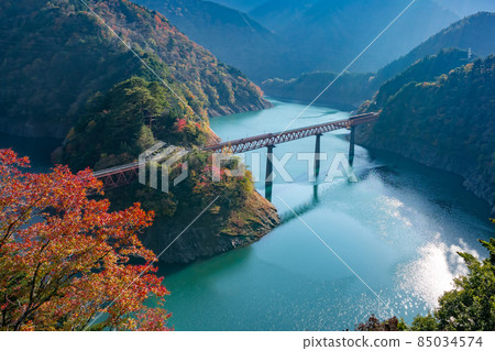 靜岡縣灰原郡川本町奧江湖城站 靜岡縣灰原郡川本町奧江湖城站 85034574