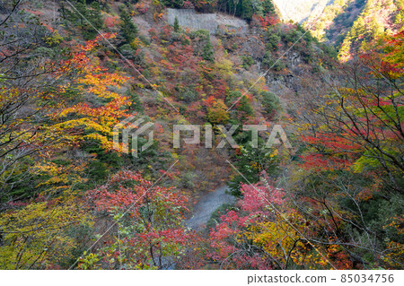 Kawanehon-cho, Haibara-gun, Shizuoka Prefecture 85034756