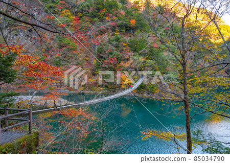 靜岡縣灰原郡川本町 靜岡縣灰原郡川本町 85034790