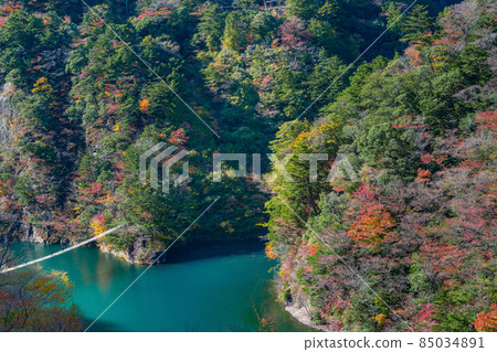 靜岡縣灰原郡川本町 靜岡縣灰原郡川本町 85034891