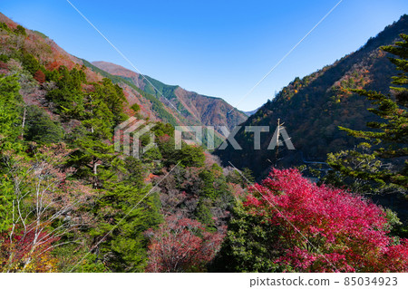 靜岡縣灰原郡川本町 85034923